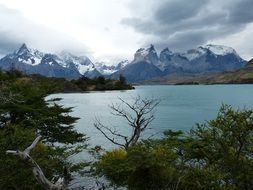 Landscape in the national park in chile