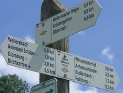 tourist signpost in the forest