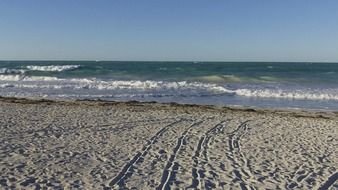 striking sea sand