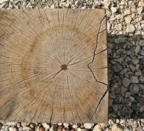 annual rings on a square log
