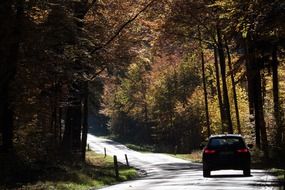 the car goes on the road in the forest