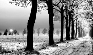 snow road landscape black and white view