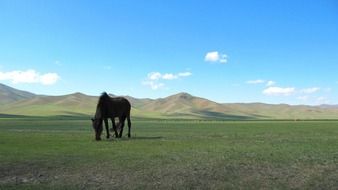 Landscape of the valley and hills