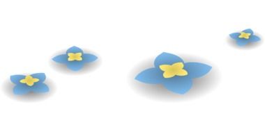 Beautiful blue and yellow flowers clipart