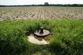 field with watering system