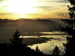 Lake Constance behind the trees at sunset