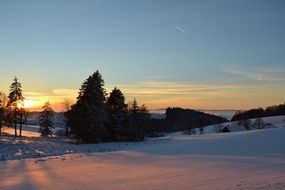 landscape of sunset behind black forest at winter