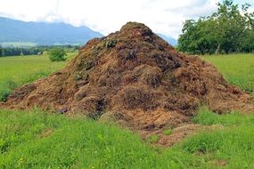 Compost pile on the farm