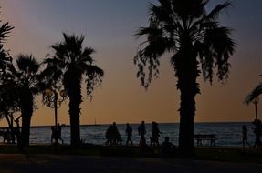 Silhouettes of people and beautiful palm trees on sea coast at colorful dusk, Turkey, Kusadasi beach