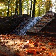 waterfall in the autumn forest