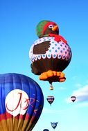 Beautiful and colorful hot air balloons in the sky