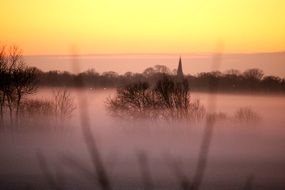 Landscape of the misty forest at the sunset