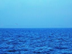 blue expanses of a huge lake