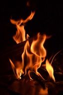 Fire from the burning wood in a dark