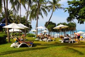 tourists relax on the beach under umbrellas