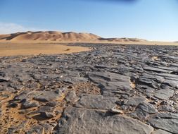 Dunes in the desert