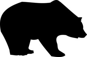 Picture of black bear