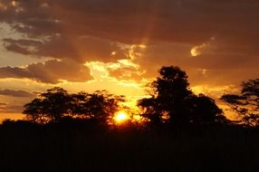 landscape of otswana africa at the sunset