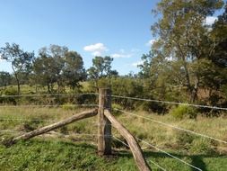 landscape of wire fence in a field in Australia