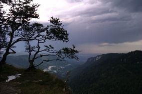 trees on mountains at dusk, gorgeous landscape