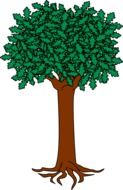 Clipart of maple tree with green leaves