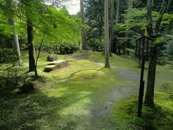 stunningly beautiful otsu japan landscape