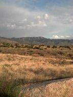 Landscape of the southwestern desert