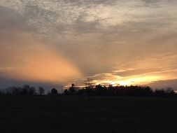 forest silhouette during sunset