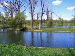 the picturesque landscape of the river in the countryside