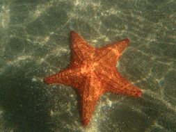 star sea