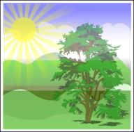 drawing of tree at summer landscape