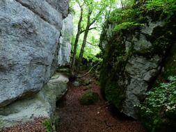 Cleft rock