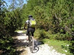 mountain bike professional cyclist