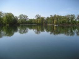 green trees reflected in a calm lake on a sunny day
