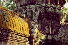 angkor temple, cambodia