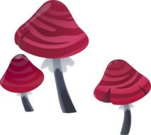 three red and grey mushrooms, drawing