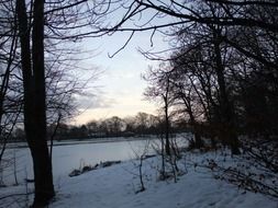 wonderful snow landscape