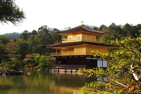 Golden Temple by the river