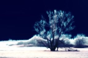 surreal landscape with tree