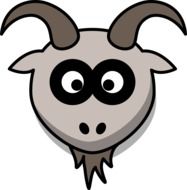 goat head on white background