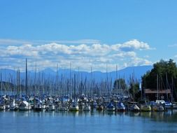 Sailing ships in a port