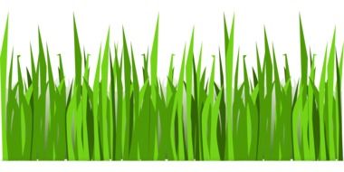 painted green grass on the lawn