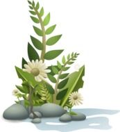 tropical flower plant vector painting