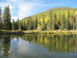 pond Tucker with green trees ashore