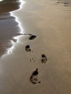 footprints on a sandy beach