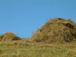 straw on a rural field