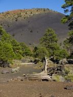 sunset crater in arizona