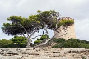 pirates tower Mallorca landscape