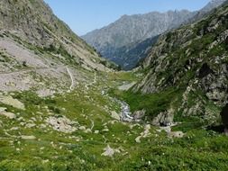 Panorama of the foothill meadow