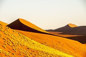 Namibia desert wolwedans